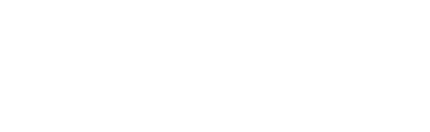 Family Initiative, Inc.