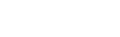 Family Initiative, Inc.